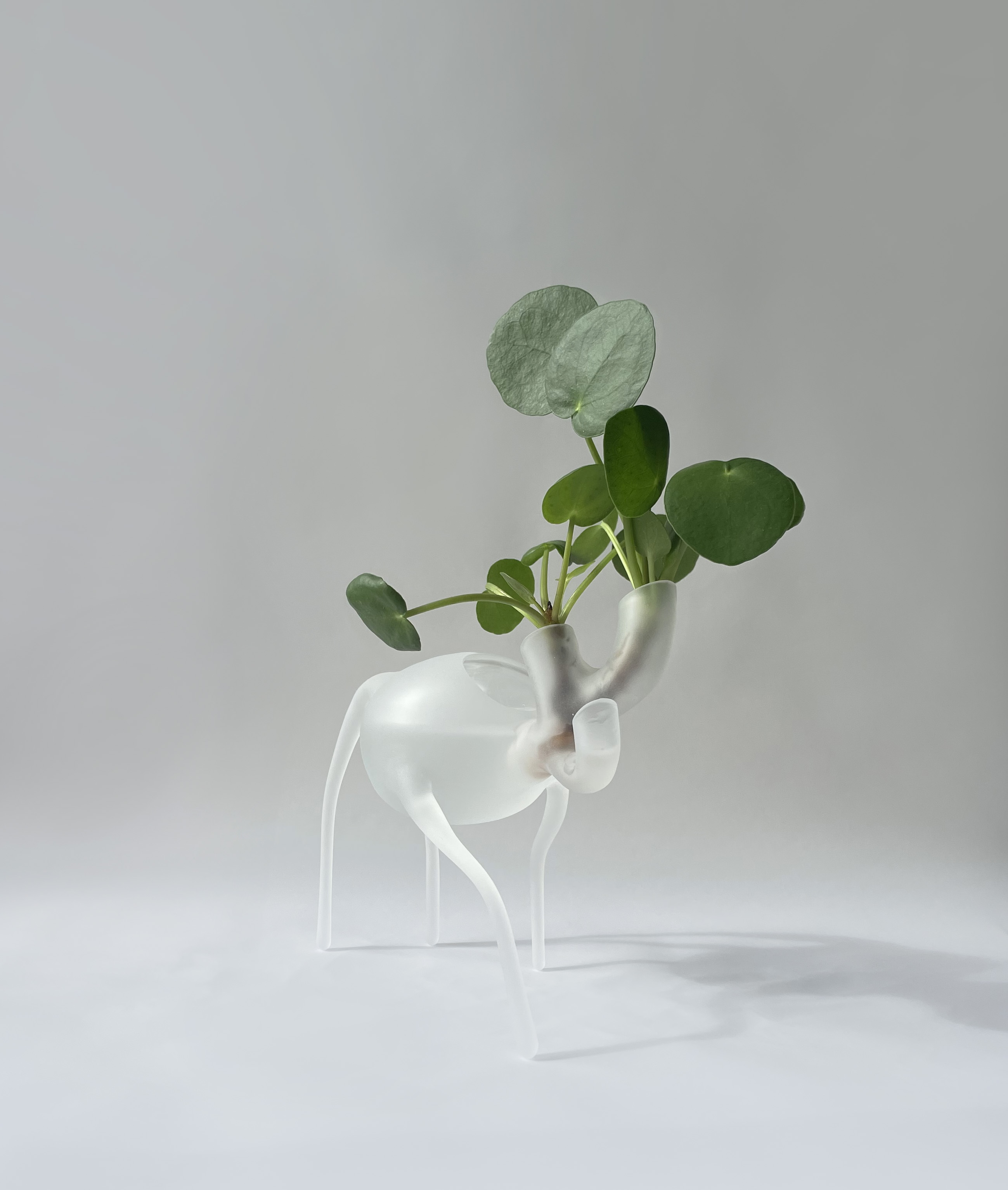 Éléonore GOLD-DALG