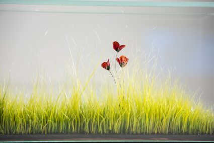 herbe et coquelicot réalisées en verre