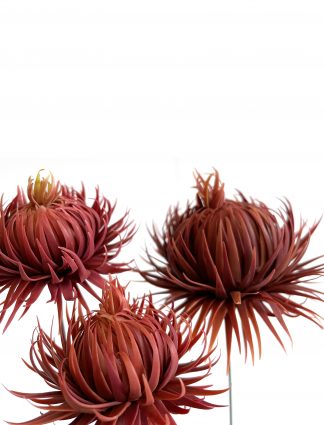 trois fleurs orange