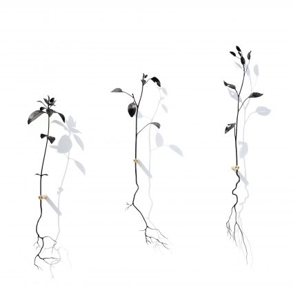 sculptures en métal noir formant des plantes