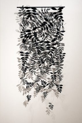 broderie plantes noire